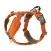 Dog Copenhagen Comfort Walk Pro Hundesele Orange - New Design