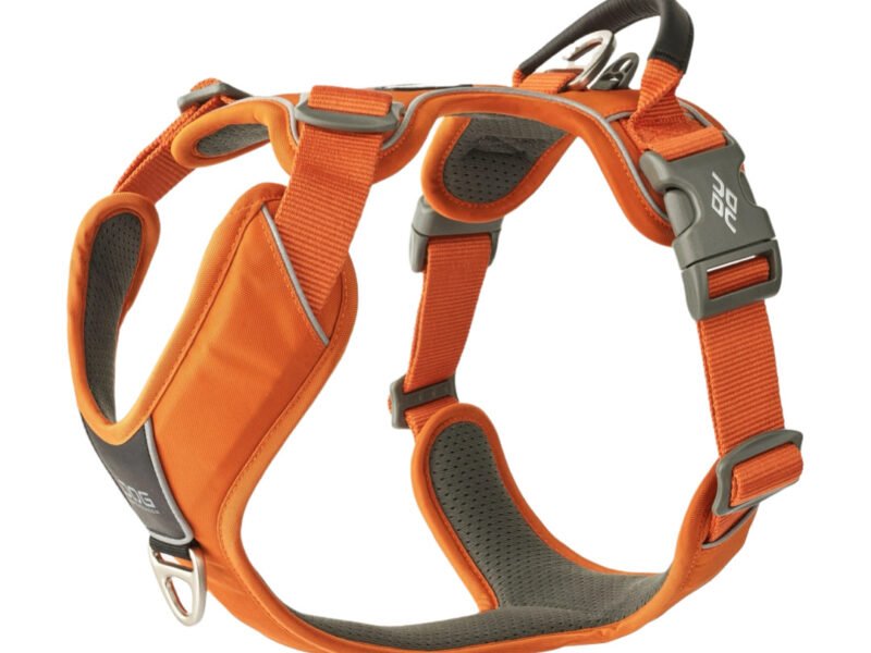 Dog Copenhagen Comfort Walk Pro Hundesele Orange - New Design