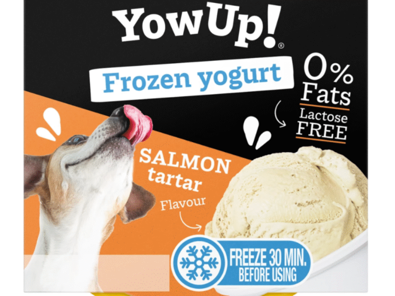 YowUp! Frozen Yogurt Hundeis Laks 110g