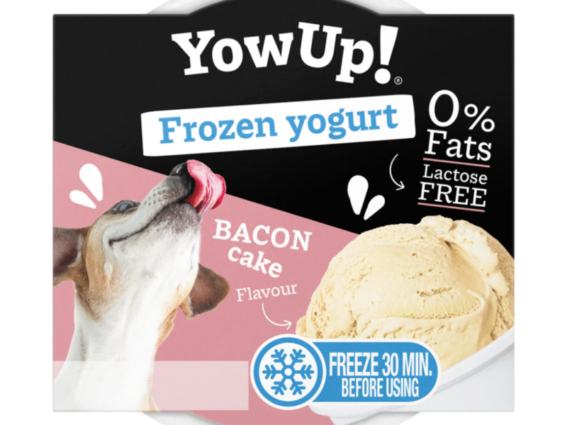 YowUp! Frozen Yogurt Hundeis Baconsmag 110g