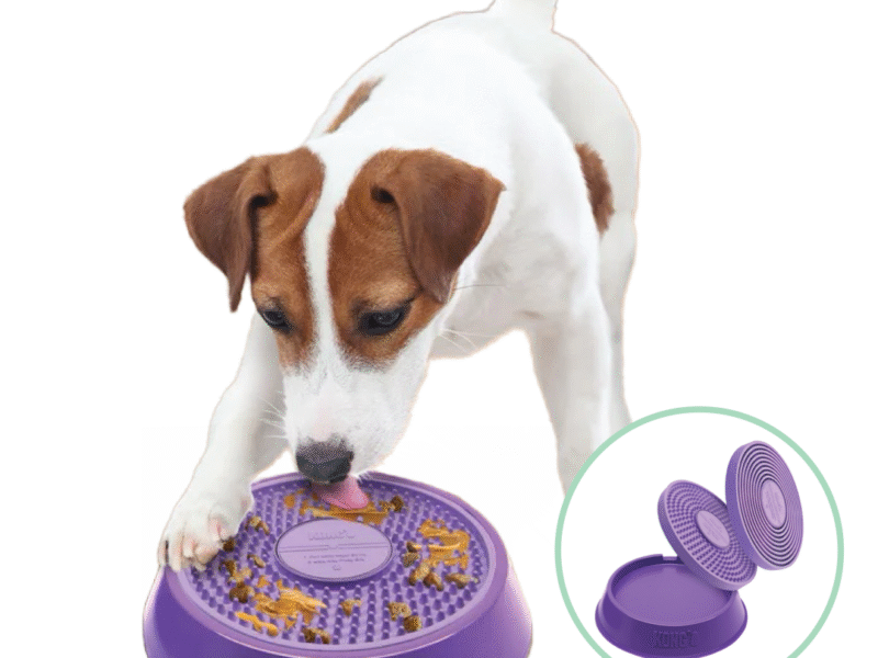 KONG Licks Spinz Small/Medium Roterende Slikkemåtte