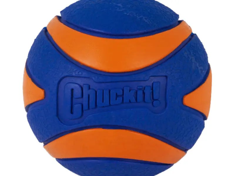 Chuckit Bold Ultra Squeaker Gummibold Legetøj
