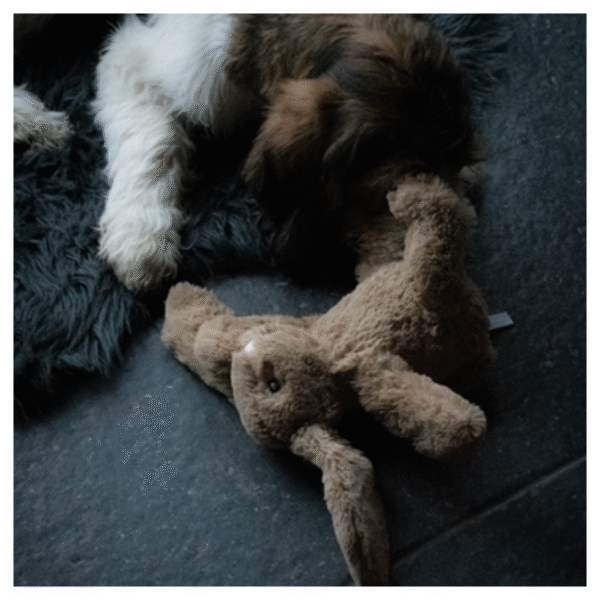 Cozy Dog Heartbeat Brun Plyskanin Med Hjerterytme Hundelegetøj - Image 3