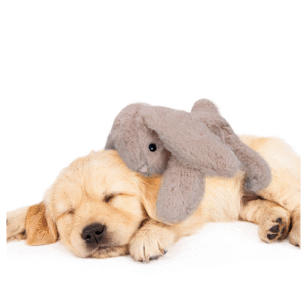 Cozy Dog Heartbeat Brun Plyskanin Med Hjerterytme Hundelegetøj - Image 4
