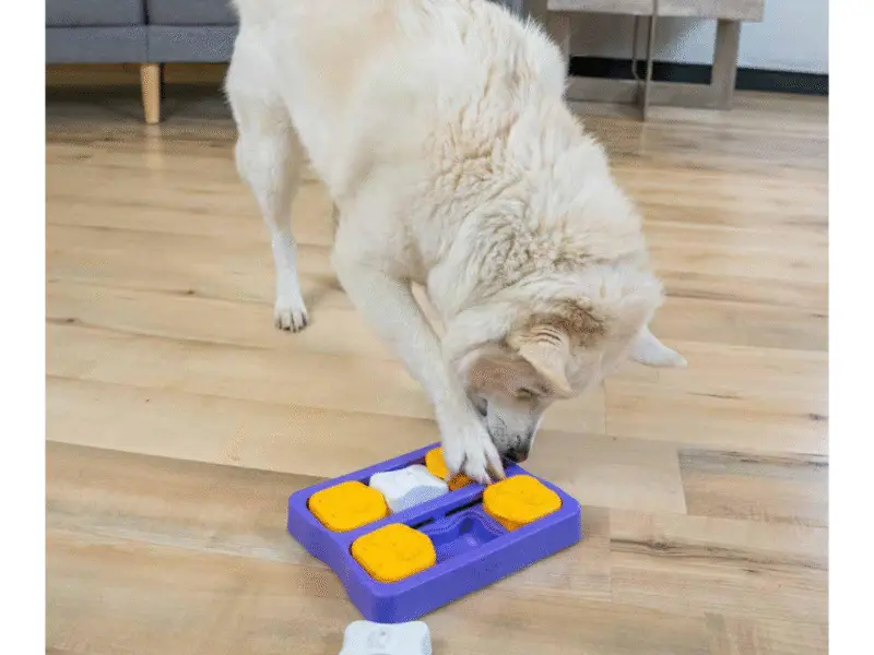 Nina Ottosson Dog Brick Mini Hundespil Aktiveringslegetøj