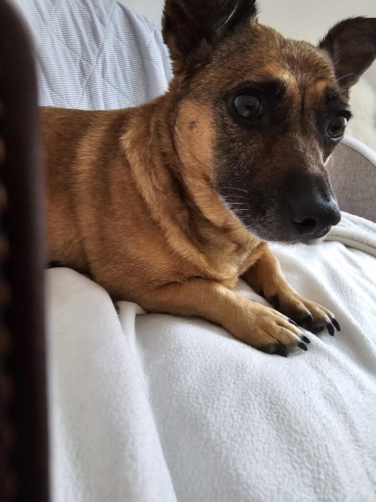 Image #1 from Gitte Wiendel Jacobsen