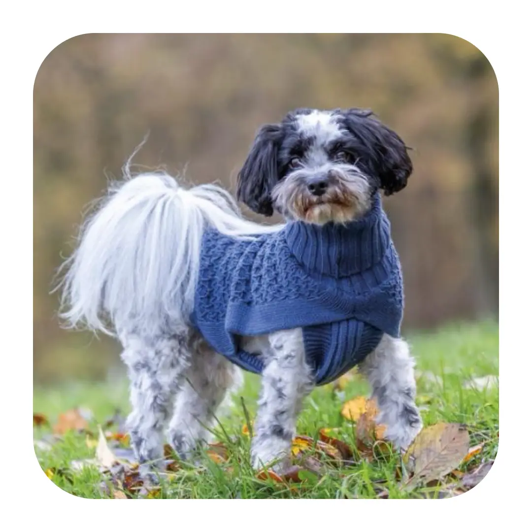 Trixie Norwood Pullover Striktrøje Blå - Billede 6