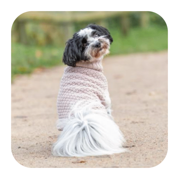 Trixie Norwood Pullover Striktrøje Blush - Image 5