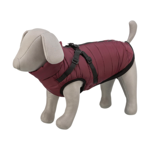 Trixie Pirou Bordeaux Hundejakke Med Sele - Image 2