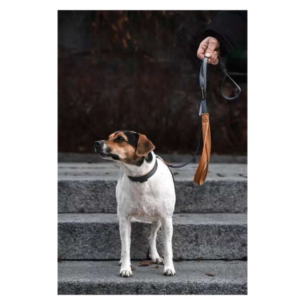 Seleverkstedet Link Hundesnor Grå Med Vegansk Læderhåndtag - Image 6