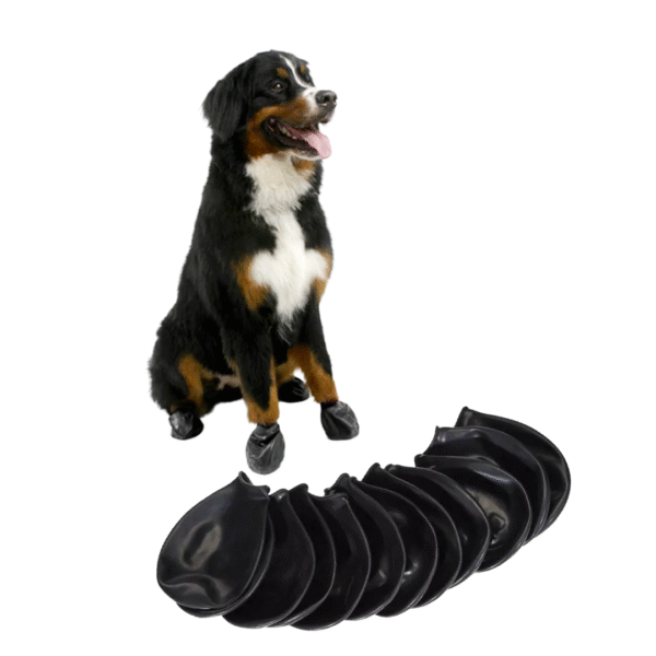 Pawz Hundesko i Gummi Sort 12 stk/pk - Image 5