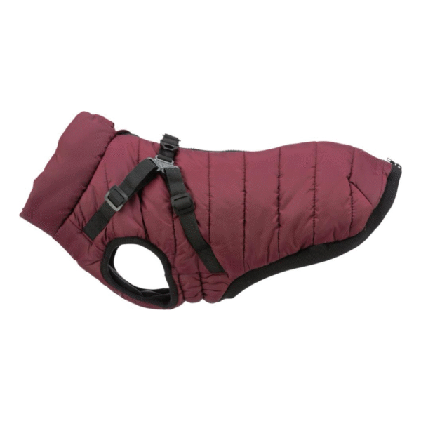 Trixie Pirou Bordeaux Hundejakke Med Sele