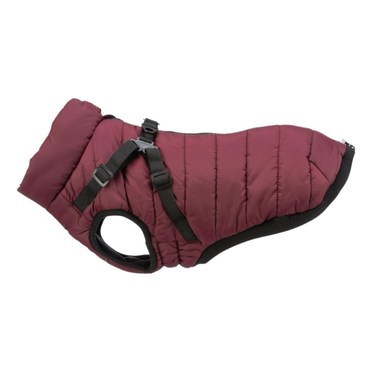 Trixie Pirou Bordeaux Hundejakke Med Sele