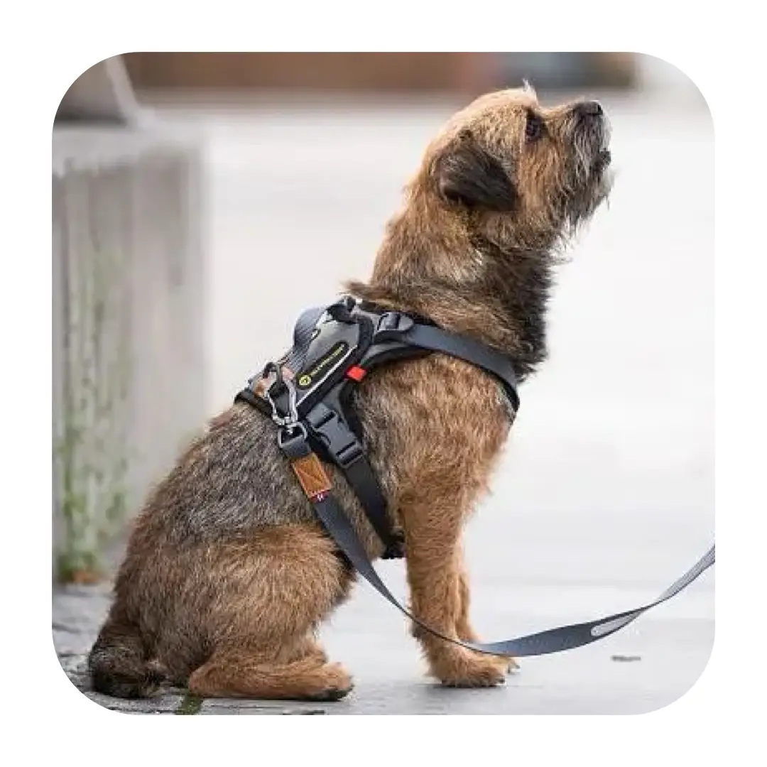 Seleverkstedet Comfort Sporsele Hundesele Grå/Sort - Billede 5