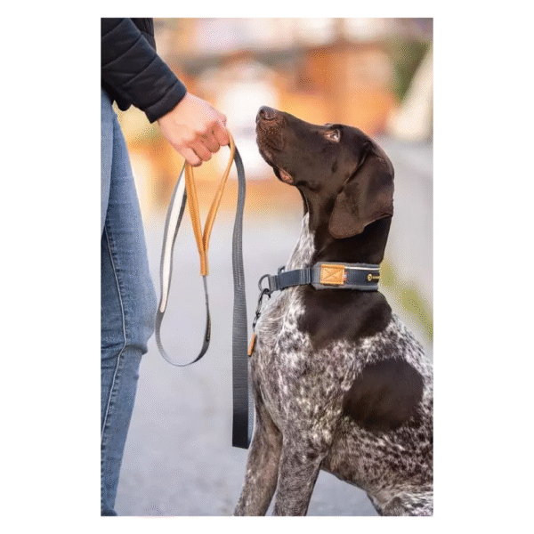 Seleverkstedet City Leash Hundesnor Grå Med Vegansk Læderhåndtag - Image 5