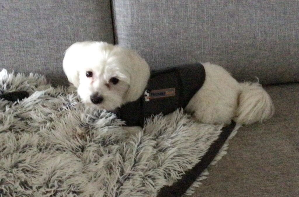 Image #1 from Tina Strand