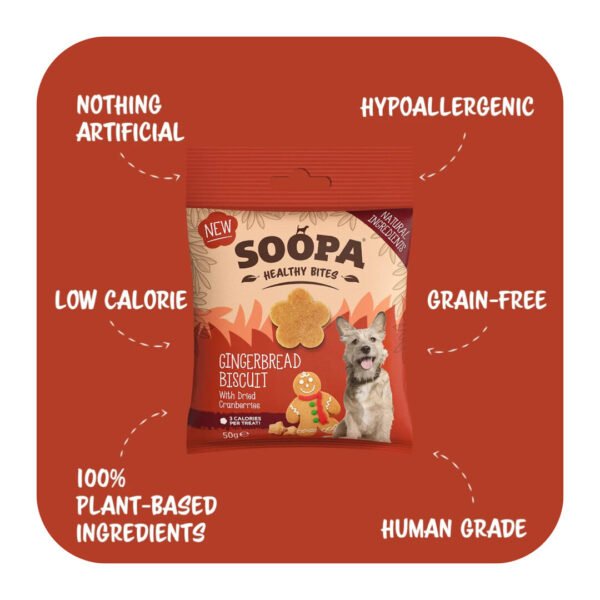 Soopa Healthy Bites Gingerbread Biscuit Vegansk Hundegodbid - Image 2