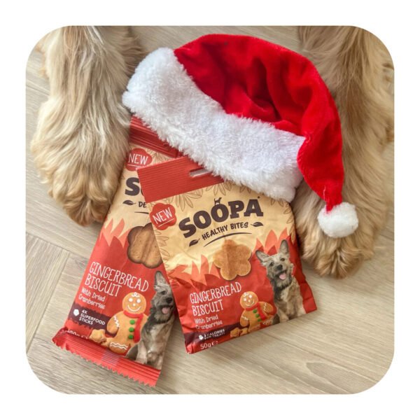 Soopa Healthy Bites Gingerbread Biscuit Vegansk Hundegodbid - Image 4
