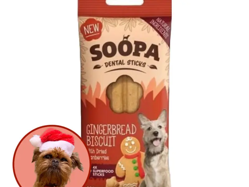 Soopa Sticks Gingerbread Biscuit Vegansk Hundegodbid