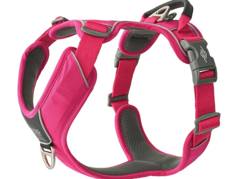 Dog Copenhagen Comfort Walk Pro Hundesele Pink - New Design