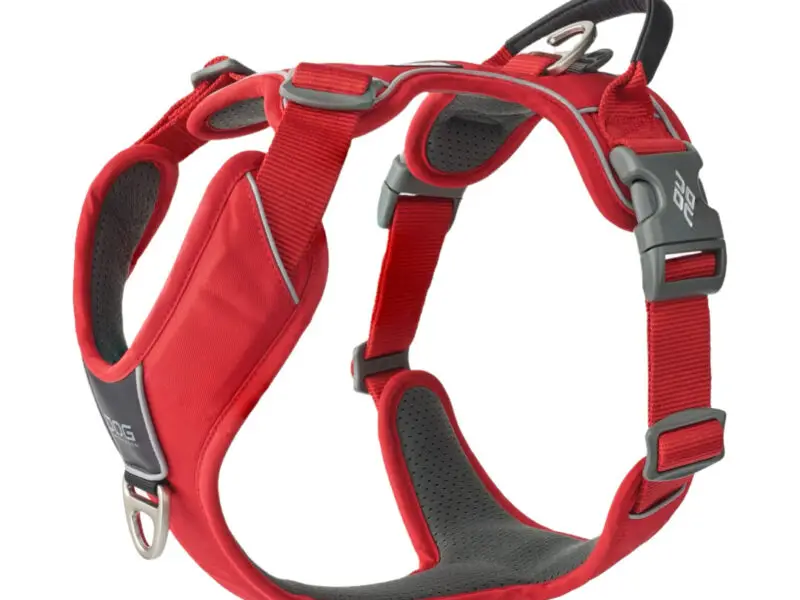 Dog Copenhagen Comfort Walk Pro Hundesele Rød - New Design
