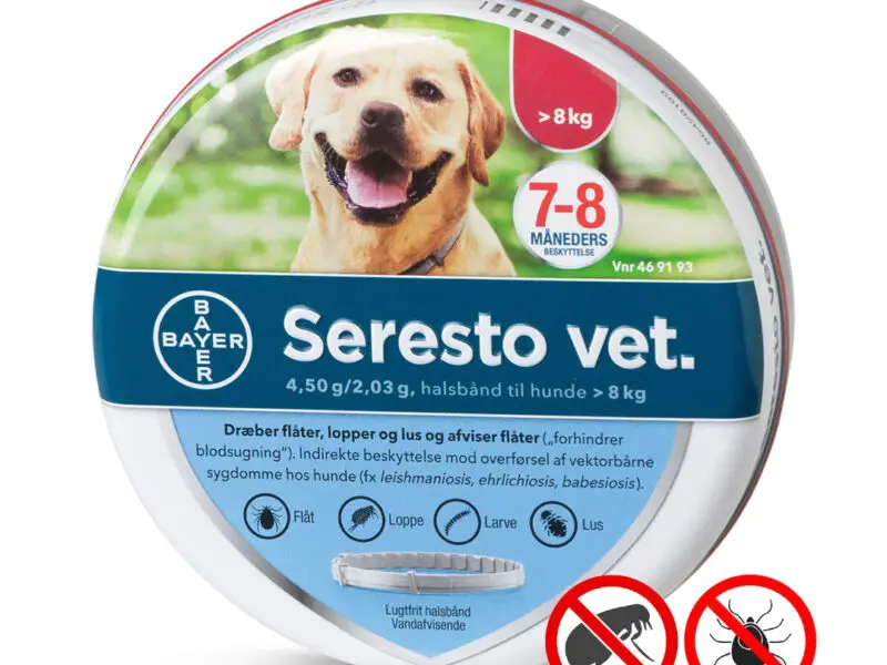 Seresto Halsbånd Imod Lopper Og Flåter Stor Hund (over 8 kg)