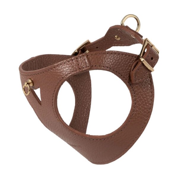 Branni Pets Juno Designer Hundesele Brun