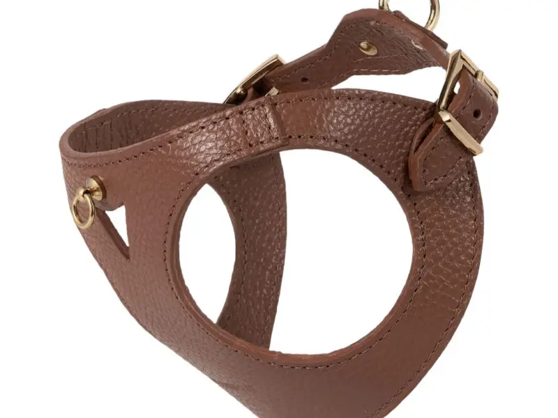 Branni Pets Juno Designer Hundesele Brun