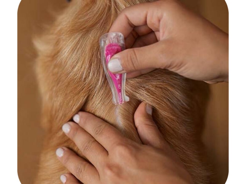 Frontect Loppe Og Flåtmiddel Stor Hund (20-40 kg) 3 x 4,0 ml