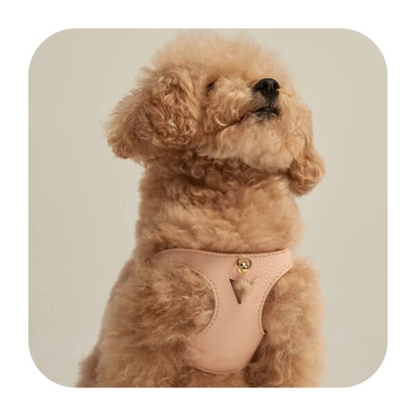 Branni Pets Juno Designer Hundesele Sandfarvet - Image 6