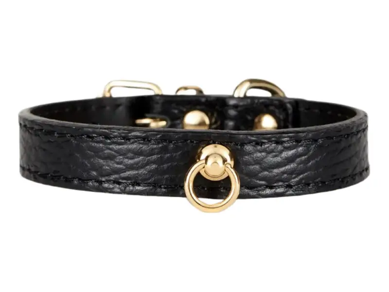 Branni Pets Juno Designer Halsbånd Sort