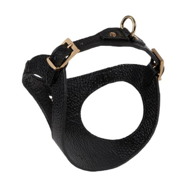 Branni Pets Juno Designer Hundesele Sort - Image 2