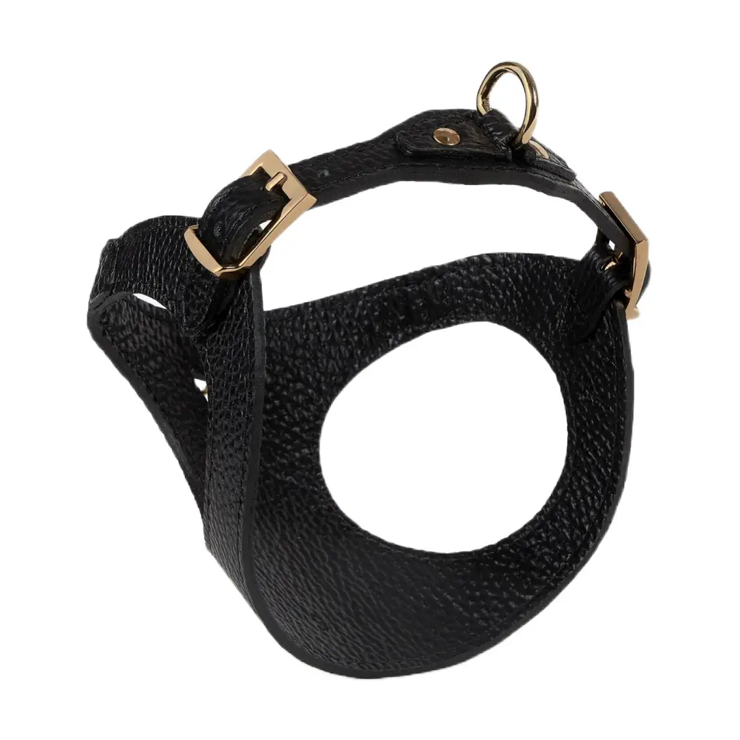 Branni Pets Juno Designer Hundesele Sort - Billede 2