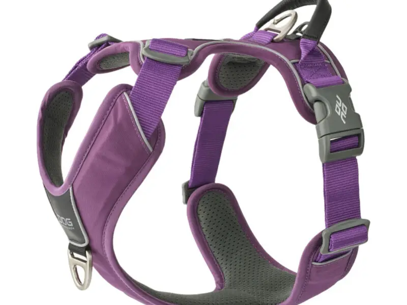 Dog Copenhagen Comfort Walk Pro Hundesele Lilla - New Design