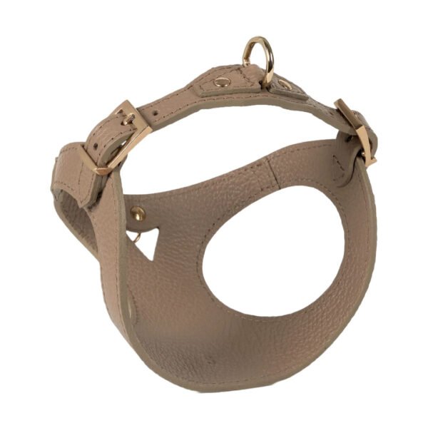 Branni Pets Juno Designer Hundesele Sandfarvet - Image 2