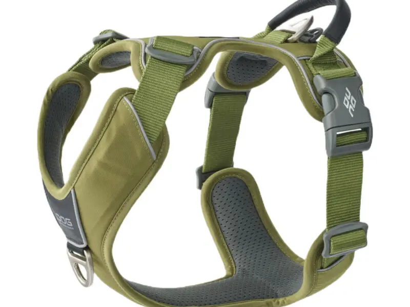 Dog Copenhagen Comfort Walk Pro Hundesele Grøn - New Design
