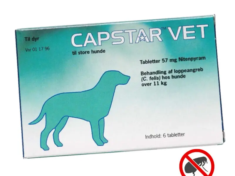 Capstar Vet Piller Mellem/Stor Hund 11-57 kg (6 tabletter)
