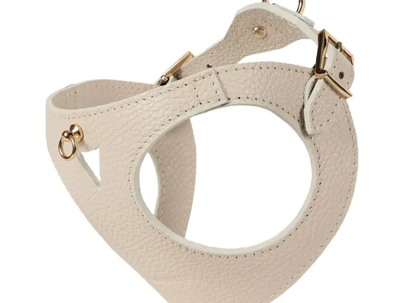 Branni Pets Juno Designer Hundesele Cremefarvet
