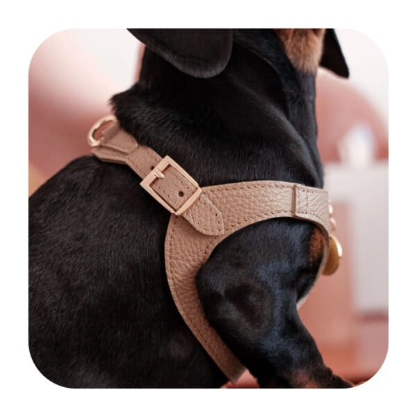 Branni Pets Juno Designer Hundesele Sandfarvet - Image 7