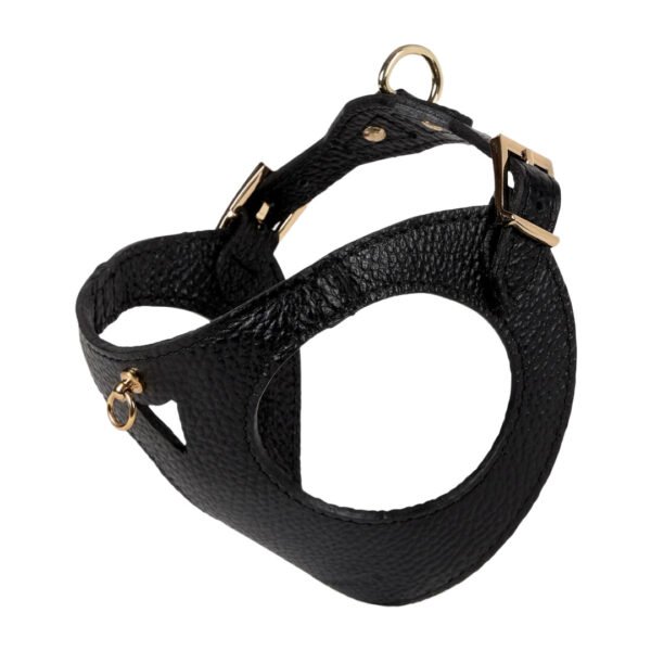 Branni Pets Juno Designer Hundesele Sort