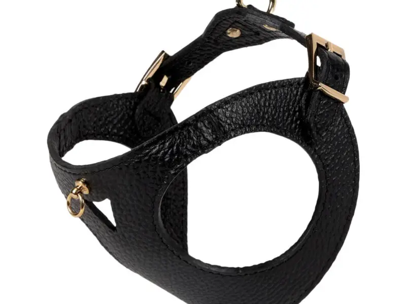 Branni Pets Juno Designer Hundesele Sort