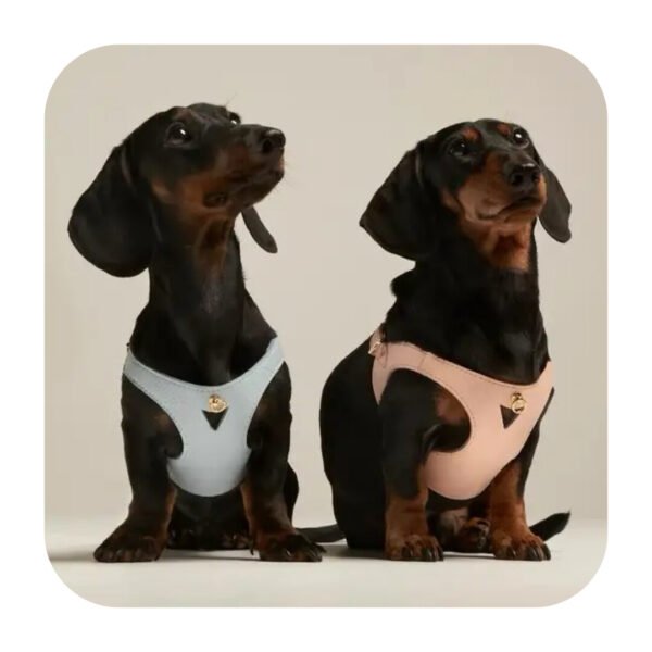 Branni Pets Juno Designer Hundesele Sandfarvet - Image 4