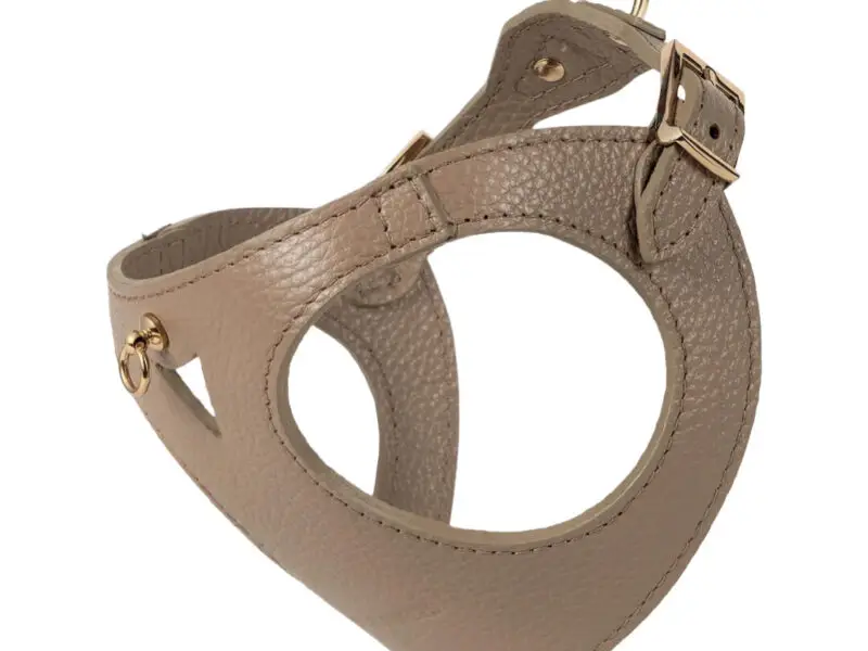 Branni Pets Juno Designer Hundesele Sandfarvet