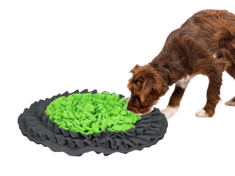 Eat Slow Snuffle Mat Snusetæppe Aktiveringslegetøj
