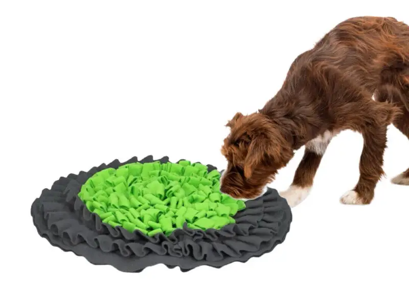 Eat Slow Snuffle Mat Snusetæppe Aktiveringslegetøj