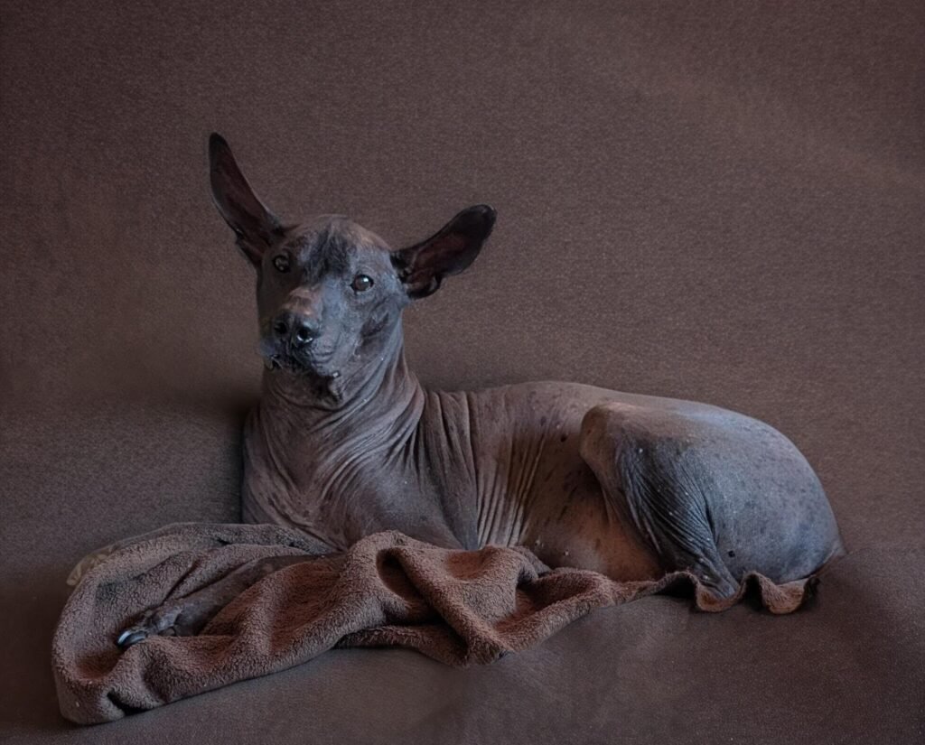 Image #1 from Diana Jørgensen