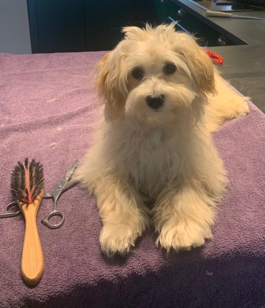 Image #1 from Trine Hougaard Nielsen