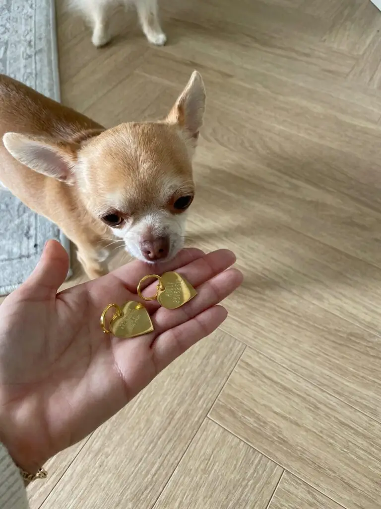 Image #1 from Camilla Munch