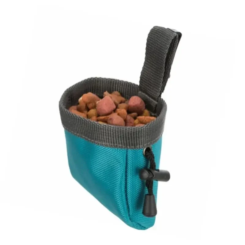 Hundetræning