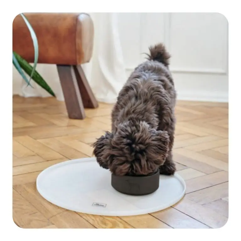 Hunter Osby Madskål Sort